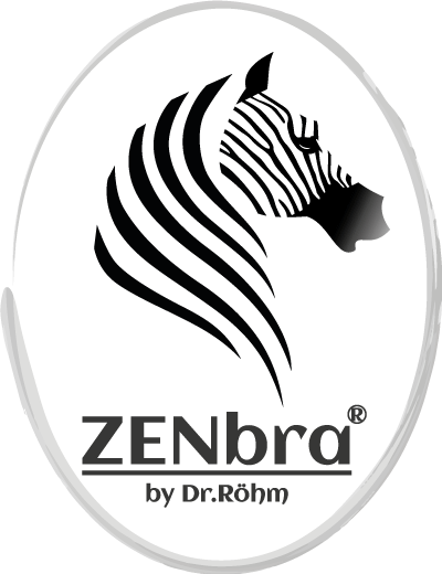 ZENbra Impuls Vortrag
