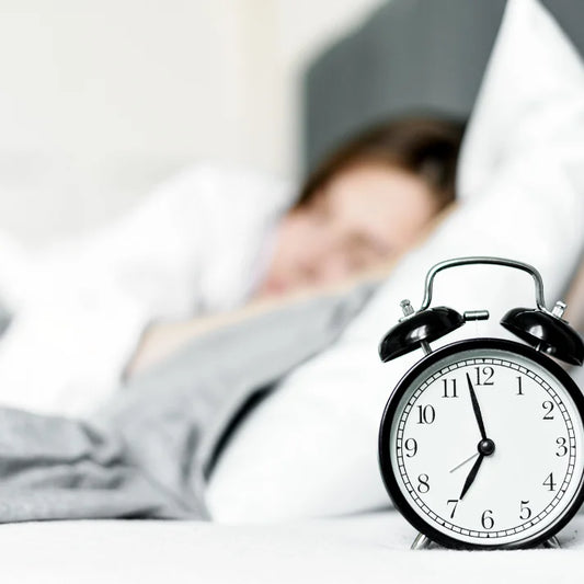 ZENbra® Impuls Vortrag 18.02.2026 – Schlaf und seine Bedeutung für Körper und Geist